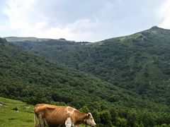 -灵山