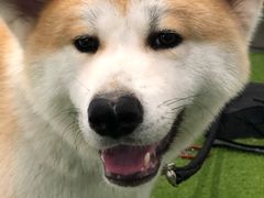 -YCHL Studios健身工作室(市二宫店)