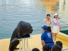 -秦皇岛乐岛海洋王国