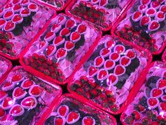 -双福水果批发市场