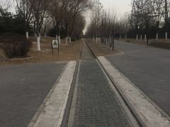 -永定河休闲森林公园