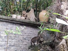 -平安桥天主教堂