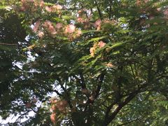 -75幢私房菜馆