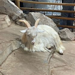 点击看大图 -Zoolung Zoolung动物主题公园(海信广场店)