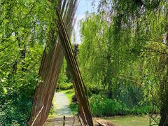 -桤木河湿地公园