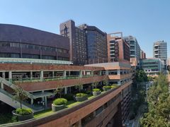 -香港大学