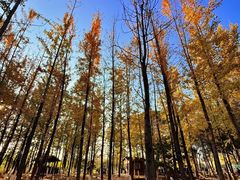 -艾溪湖湿地公园