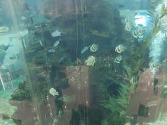 -鸿通城购物中心