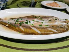 清蒸白丝鱼-沈厅酒家(周庄店)