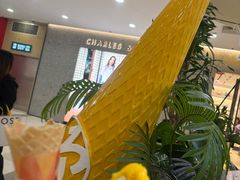 -野人先生Gelato(上海长宁龙之梦店)