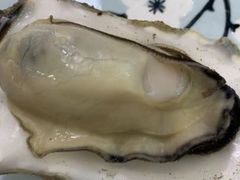 -渡海小渔村.老辈日照菜