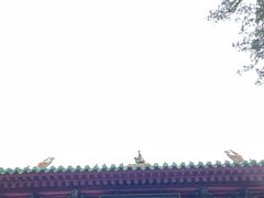 -少林寺欢喜地素斋馆