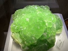 -湖南省地质博物馆