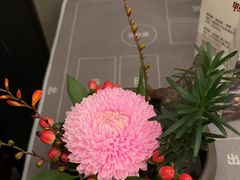 -蘇锦宴·淮扬菜烤鸭·小院(三元桥霄云路店)