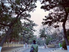 -如花大师咖啡·