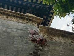 -碧江金楼