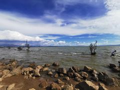 -呈贡滇池生态湿地公园