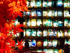 -皇室假期美食水疗会(春风路店)