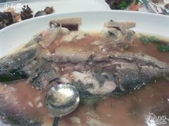 鲥鱼-御花园·粤菜·海鲜火锅(中山公园店)