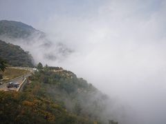 -阳台山自然风景区