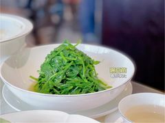 清炒豌豆苗-人间采蜜(海信广场店)