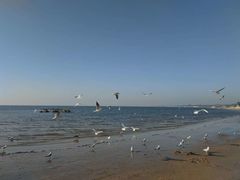 -老虎石海上公园