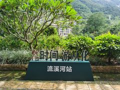 -广州市流溪河国家森林公园