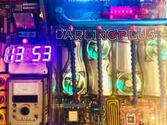 -Darling Queen·Mini·Live·House