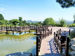 -北京西山国家森林公园