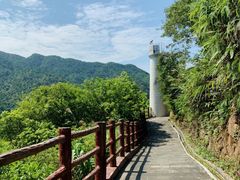 -羚羊峡古栈道森林公园