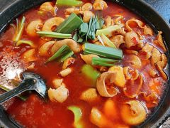 湘味肥肠火锅-湘肠香火锅店(团结湖店)