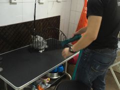 -佳百利宠物(荣乐中路115弄小区店)