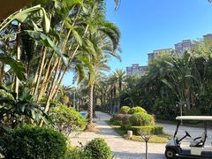 -碧桂园润杨溪谷温泉酒店