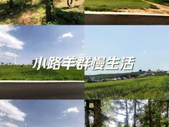 -草原天路(张北县)