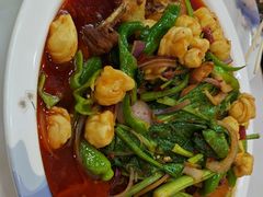 -马旭土鸡焖花卷新疆菜大盘鸡·真域顺西域美食(天马大道店)