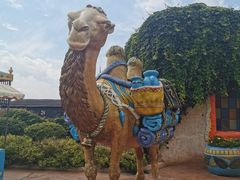 -大连海昌发现王国主题公园