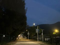 -西涌国际滨海旅游区