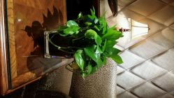 android_upload_pic-TIME SPA科技美肤机构