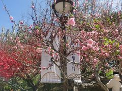 -海棠花溪(元大都城垣遗址公园)