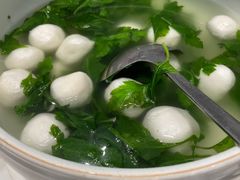 -丁老爷子苏香圆