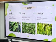 -嘉北郊野公园