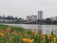 -南宁南湖公园