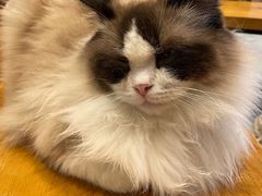 -凯德广场(武胜路店)