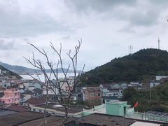 -枸杞岛