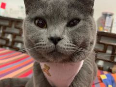 -美迦爱-牙专科·兔科·骨科诊疗中心(北苑店)