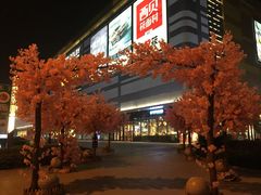 -上海颛桥万达广场
