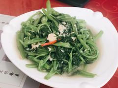 腐乳空心菜-聂记粤菜馆(鼓西路店)