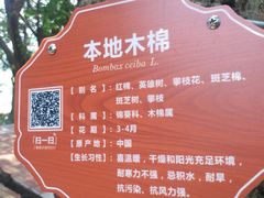 -玉树公园