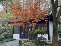 -亭林公园