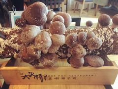 -大头椰·椰子鸡火锅(南宁万象城店)